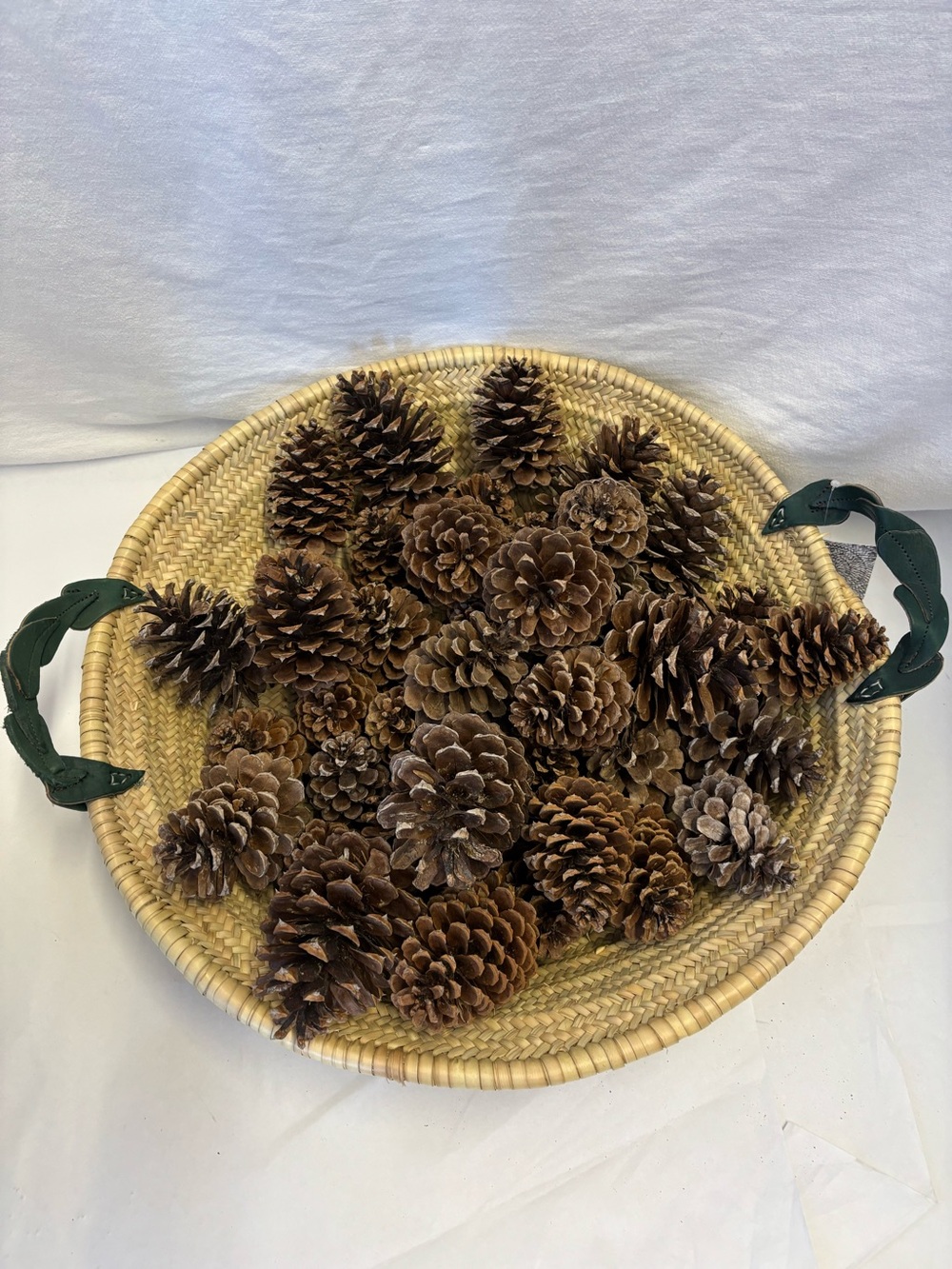 Medium Pinecones Set